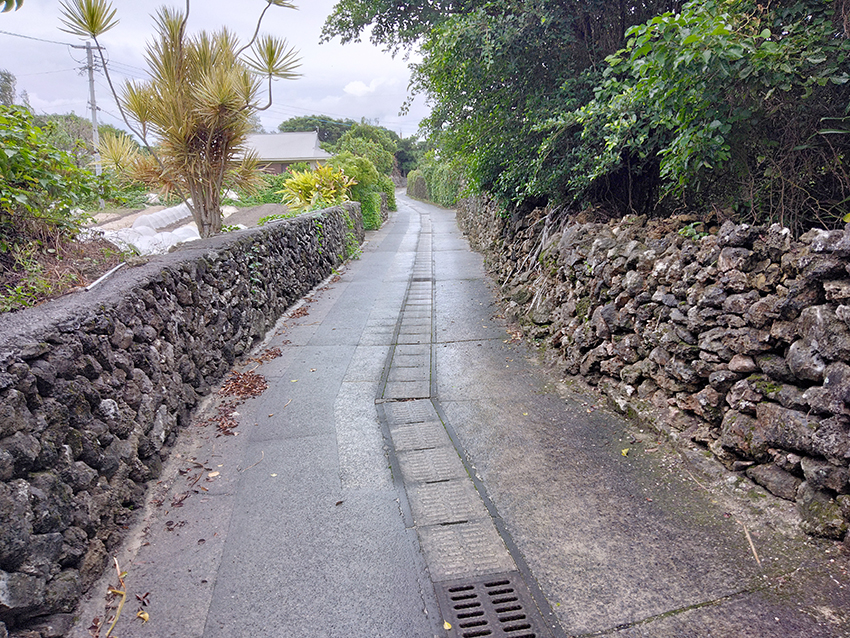 サンゴの石垣に見る知恵