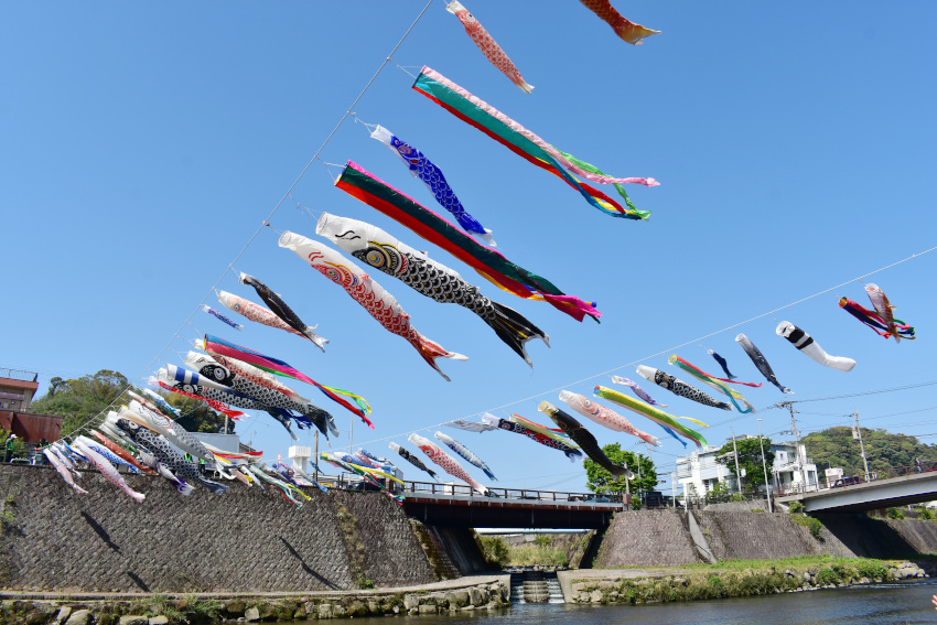 みんなの写真館／こどもの日を前に