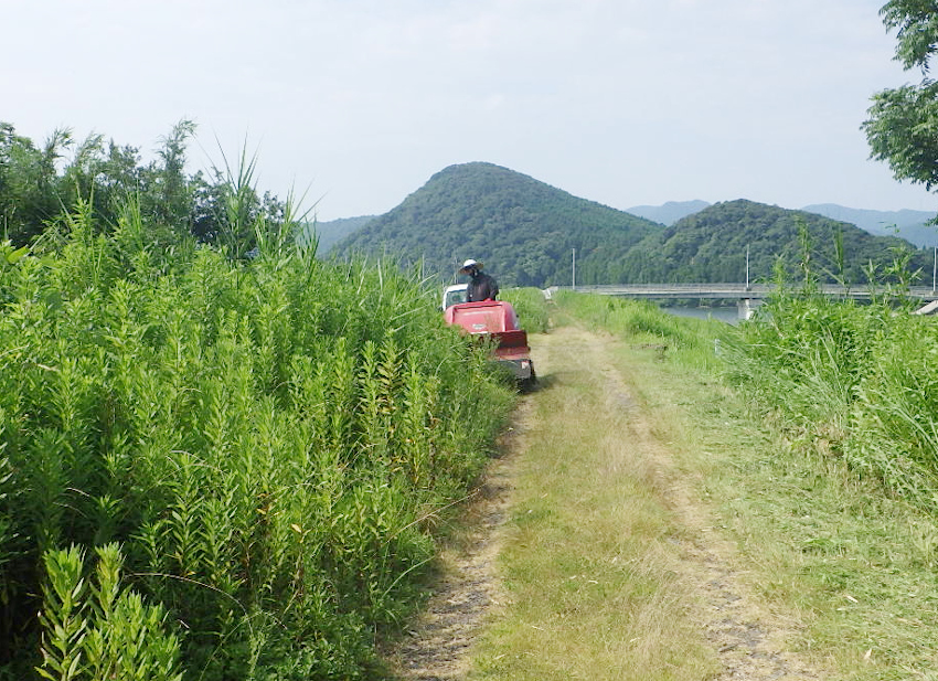 地域貢献活動