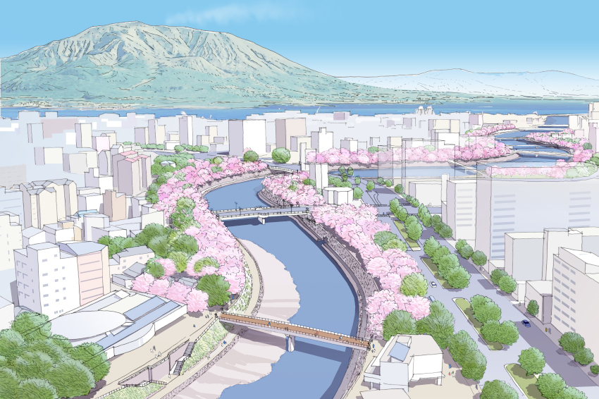 鹿児島市甲突川千本桜再生ＰＪ／測量設計　全対象は８．３ｈａ／来年度から本格始動