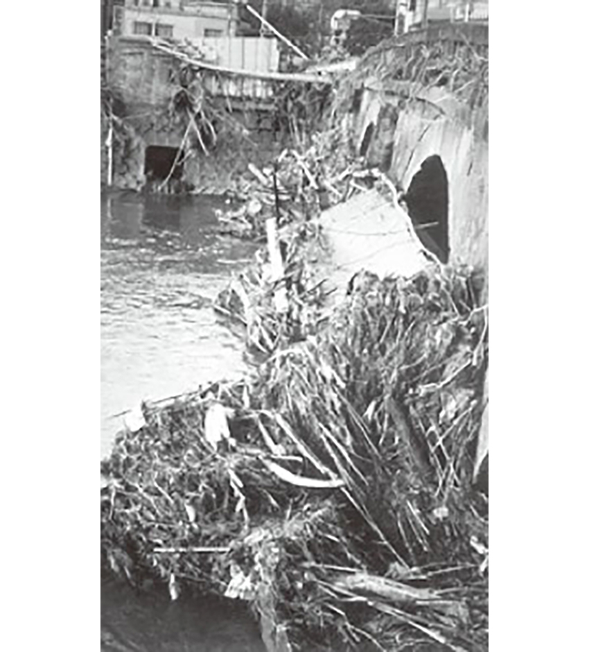 西田橋ものがたり⑧／五石橋と治水論争②／長谷場　良二　南日本技術コンサルタンツ