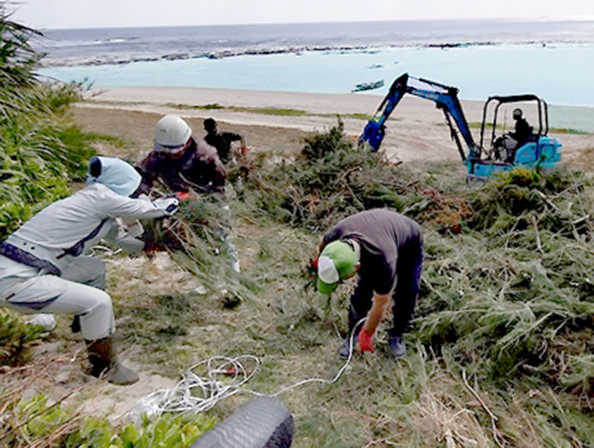 外来植物を駆除