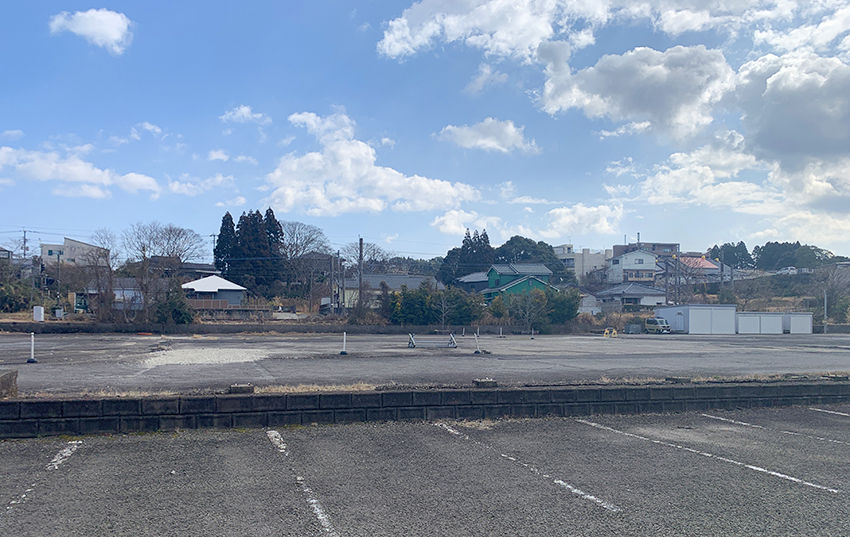 日置にドラッグコスモス