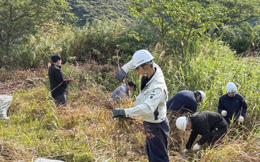外来植物を駆除
