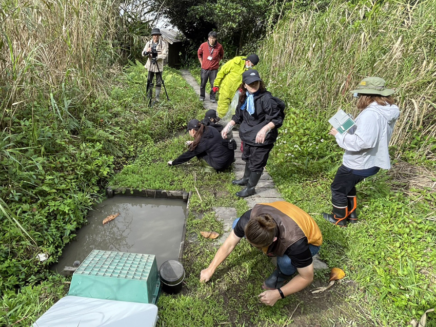 一村終焉の家で外来種駆除