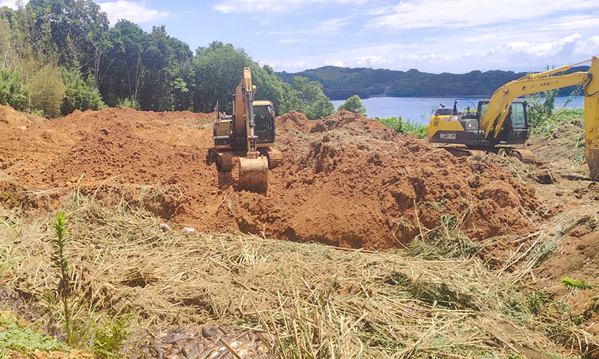 長島町の赤潮被害