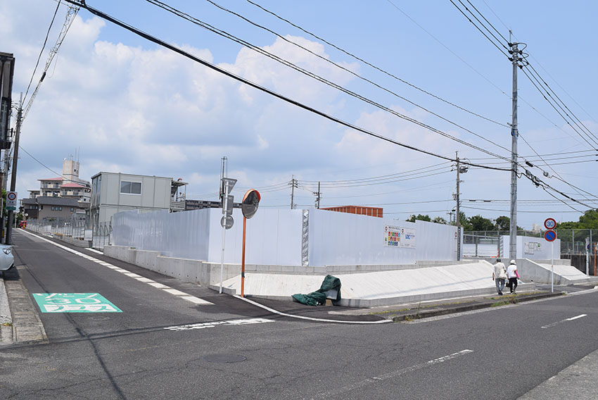 鹿児島市にドラッグコスモス