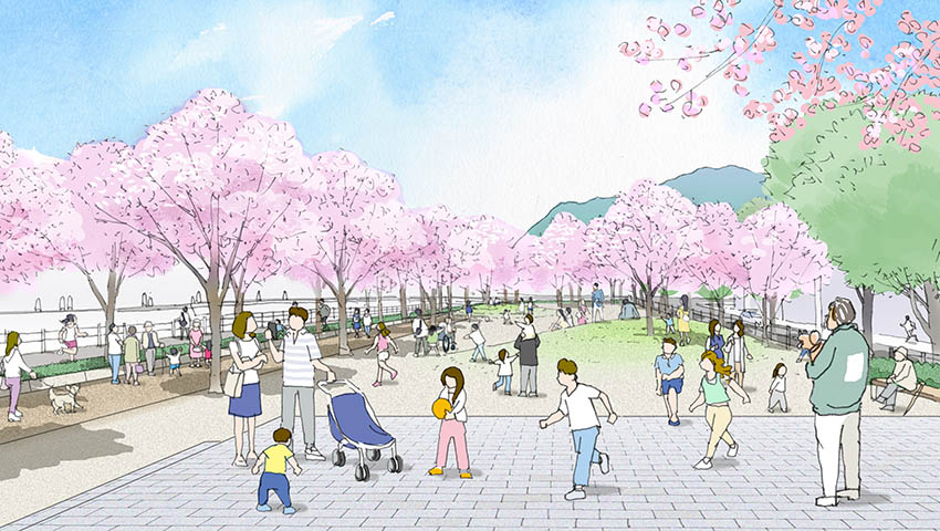 鹿児島市　甲突川千本桜再生ＰＪ
